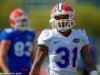 Jalen Tabor, University of Florida, Gainesville, Florida, Ben Hill Griffin Stadium, Florida Gators
