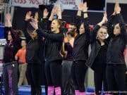 Florida Gators gymnastics celebrate a good 2016 season- 1280x853
