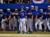 University of Florida Gator baseball players look on during a win over Florida State in the 2016 Gainesville Super Regional- Florida Gators baseball- 1280x852