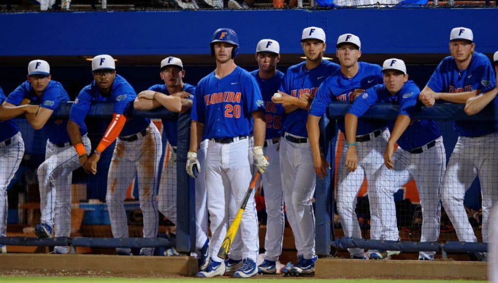 University of Florida Gator baseball players look on during a win over Florida State in the 2016 Gainesville Super Regional- Florida Gators baseball- 1280x852