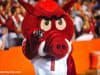 University of Arkansas mascot Big Red at Ben Hill Griffin Stadium during a game in 2013- Florida Gators football- 1280x852