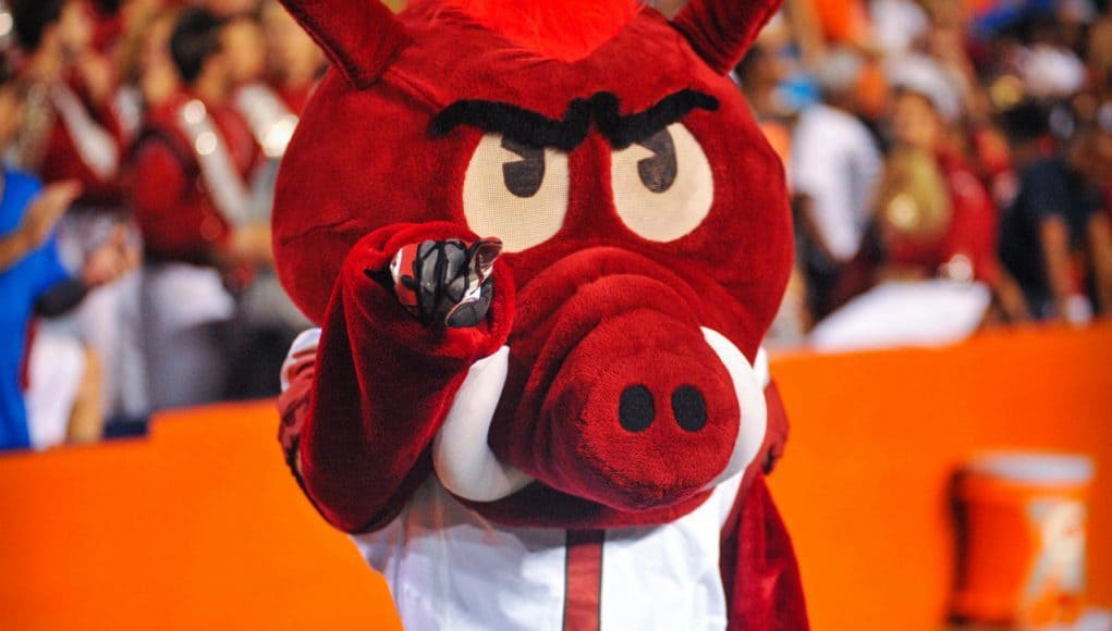 University of Arkansas mascot Big Red at Ben Hill Griffin Stadium during a game in 2013- Florida Gators football- 1280x852