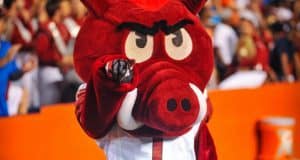 University of Arkansas mascot Big Red at Ben Hill Griffin Stadium during a game in 2013- Florida Gators football- 1280x852