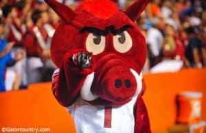 University of Arkansas mascot Big Red at Ben Hill Griffin Stadium during a game in 2013- Florida Gators football- 1280x852