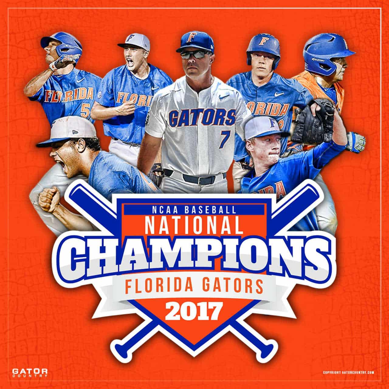 Florida Gators baseball wins national championship