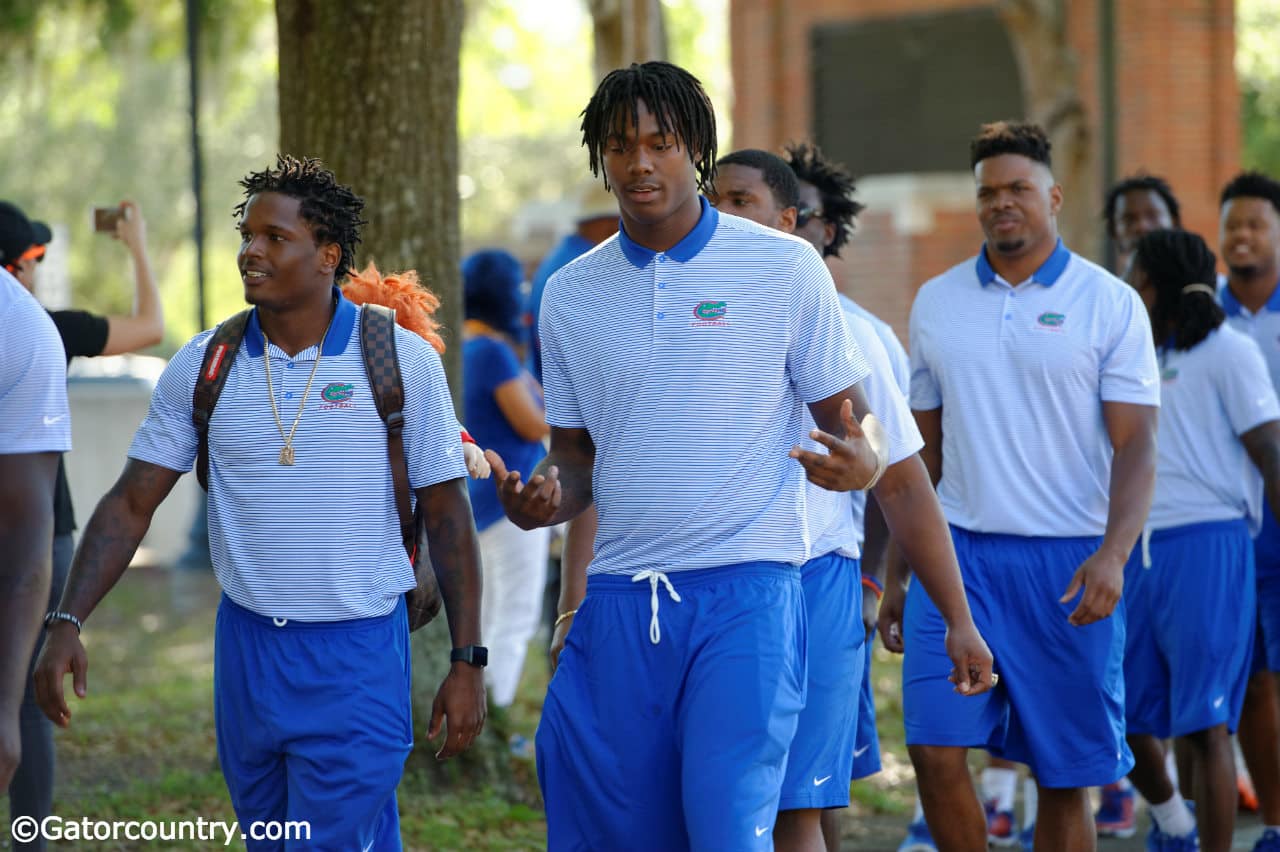 florida gators jordan shorts