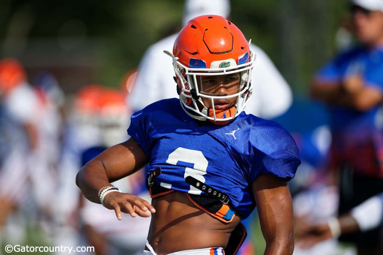 florida gator scale jersey