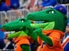 University of Florida mascots Albert and Alberta cheer on the Florida Gators during the 2019 Chick-Fil-A Bowl- Florida Gators football- 1280x853